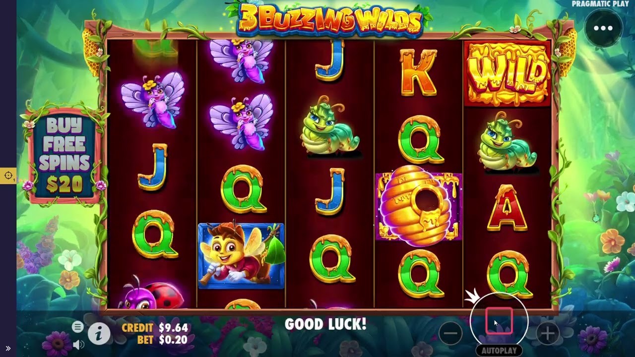 3 Buzzing Wilds slot by Pragmatic Play - YouTube