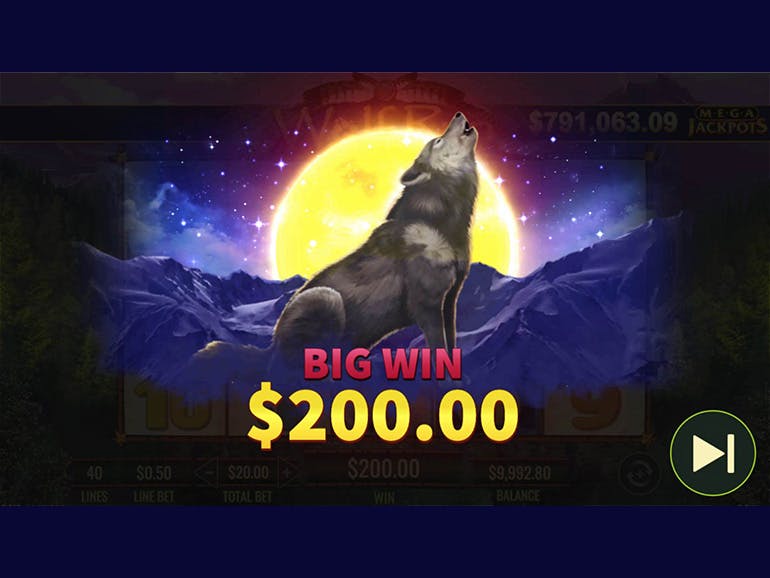 What bonus offers and promotions await players at Wolf Winner Casino?