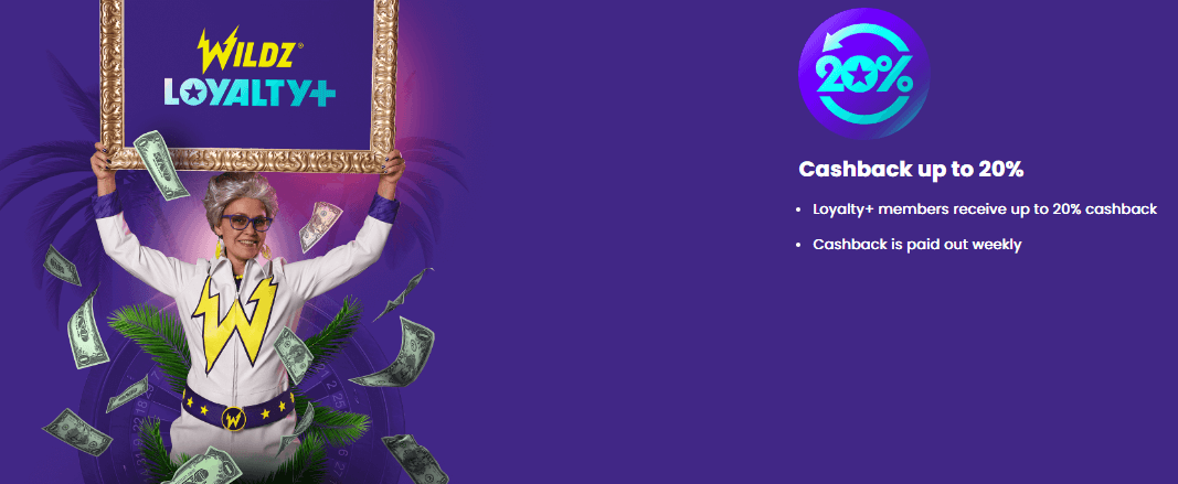 Amazon Eco Services - A review of Wildz Casino: why it’s the best place ...