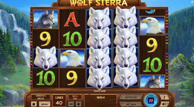SlotWolf Casino Canada | Wolf is waiting for you to enjoy bonus!