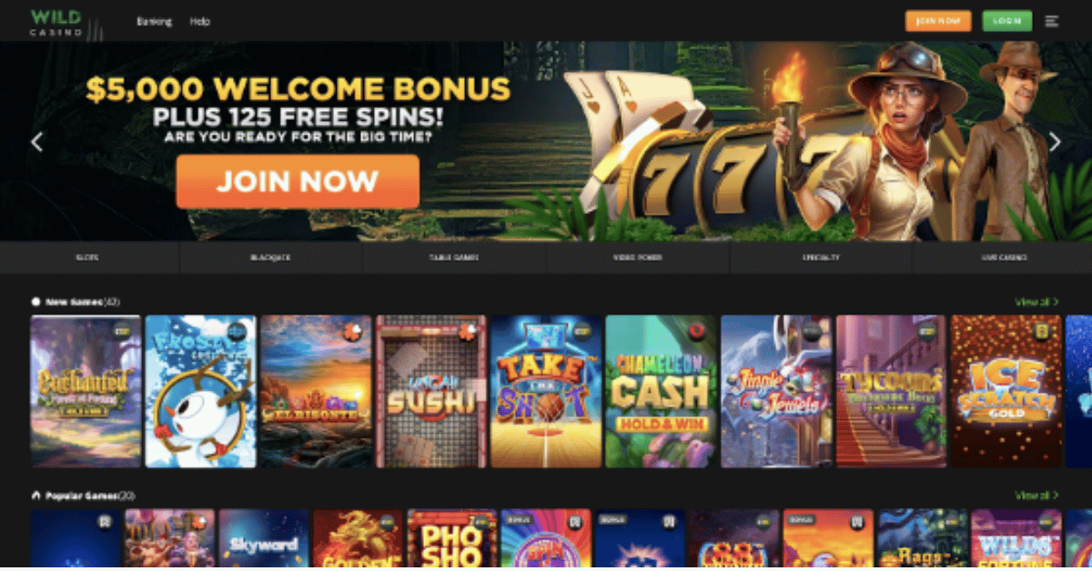 Top Fastest Payout Online Casinos USA 2026