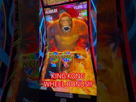 verified Reefspins Casino online casino promotion