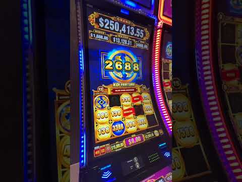 latest sign-up bonus at Reefspins Casino
